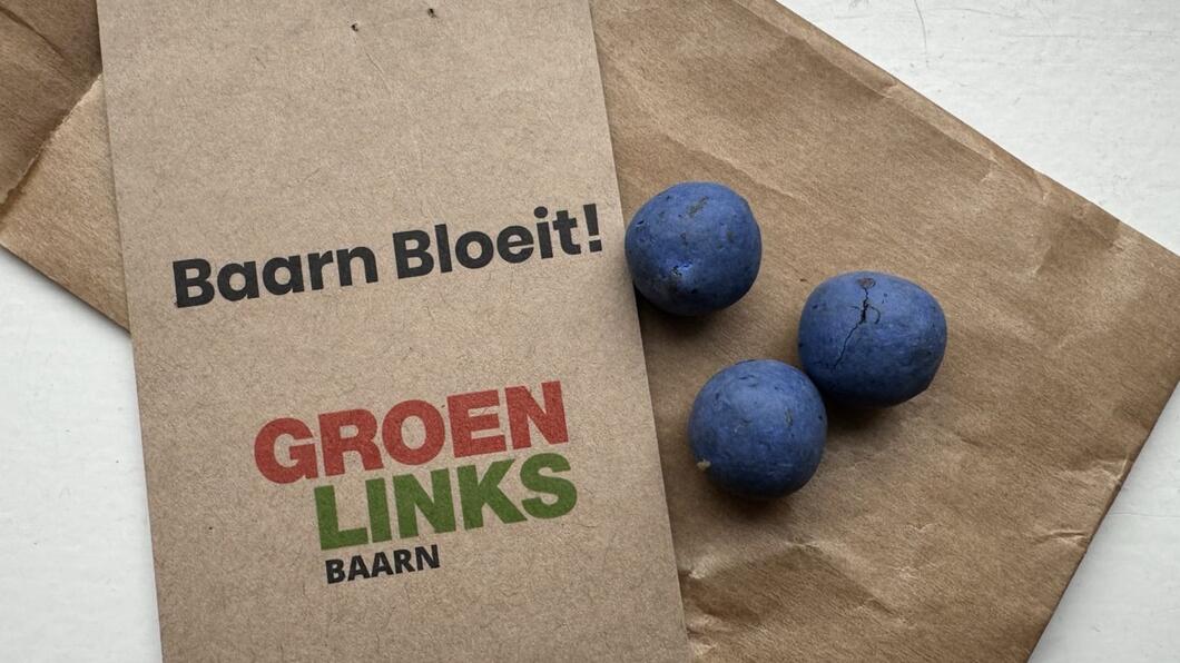 zaadbommetjes 1