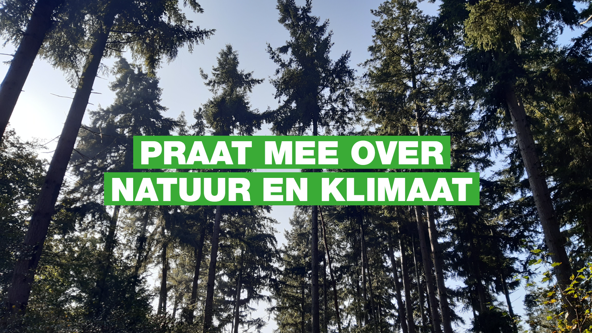 Foto van bomen in het Baarnse Bos met daarop de tekst: Praat mee over natuur en klimaat.