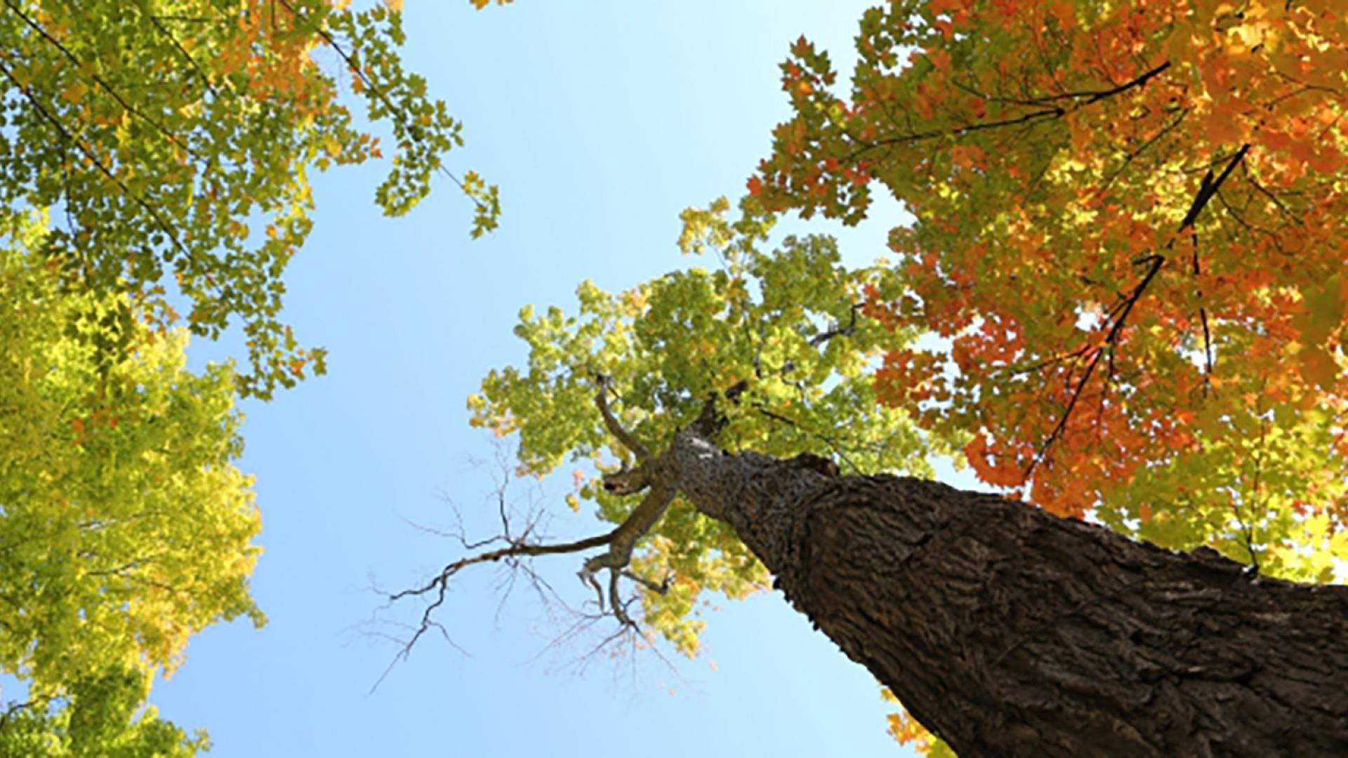 600x315-perspectief.jpg