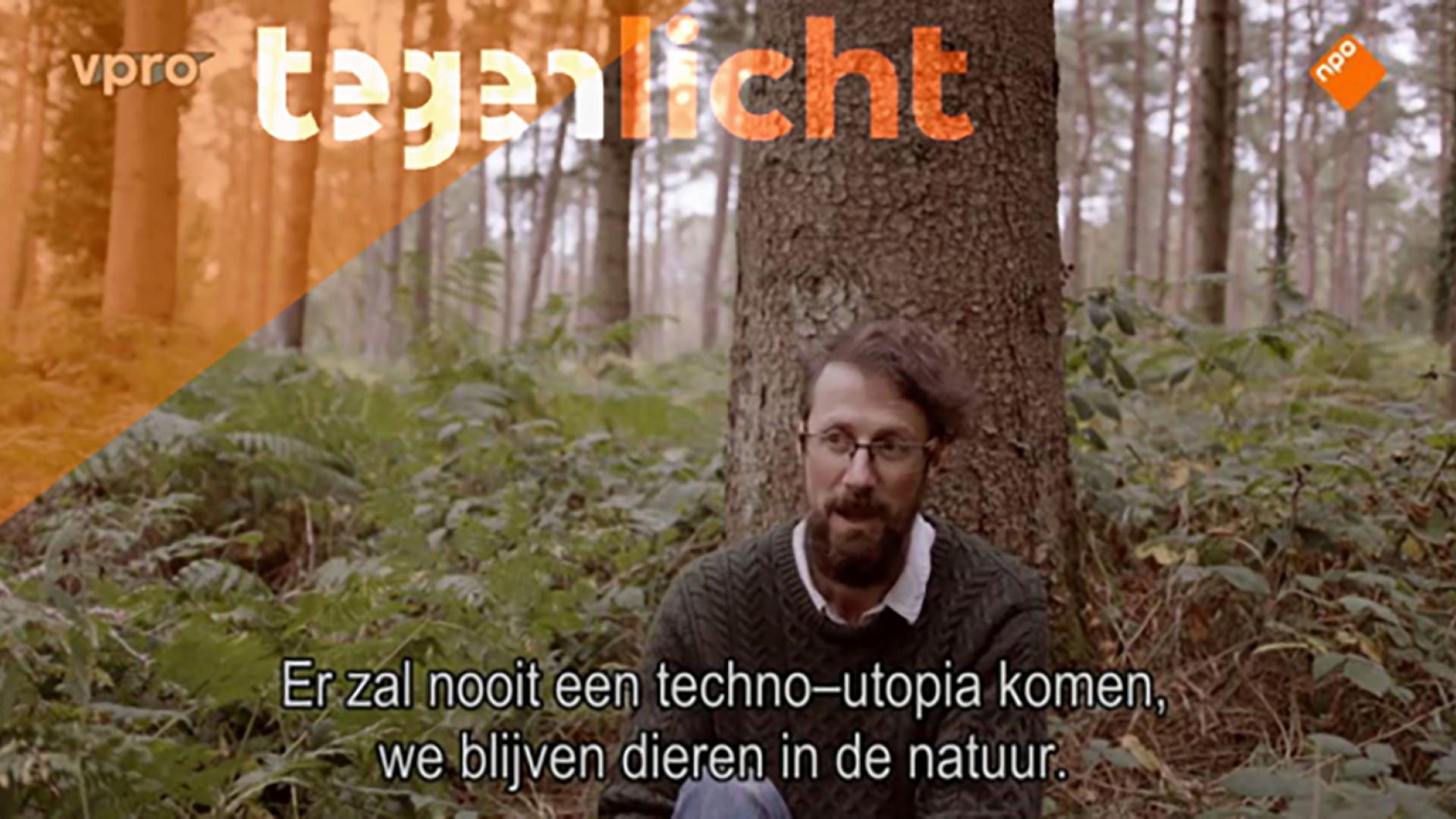 Screenshot tegenlicht 3.jpg